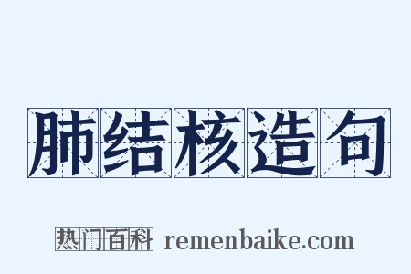 肺结核造句是什么意思的图片